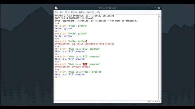 Python Print Statement and Comments