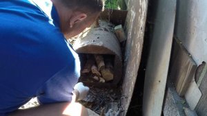 Как я летом рыбу коптил. Рыба холодного копчения в домашних условиях.