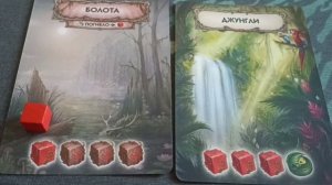 Эволюция Новый мир