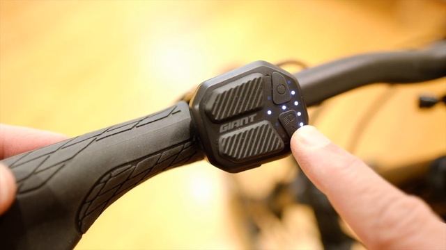 GIANT ROAM E All Weather E-Bike смотреть онлайн