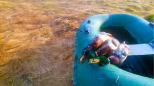 ВОТ ЭТО ОХОТА НА СЕЛЕЗНЯ. ПОДМАНИЛ ТРОИХ