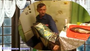 Красивая цыганочка на гармошке