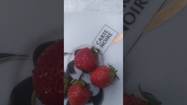 обзор ремонтантной клубники королева Елизавета смотреть онлайн