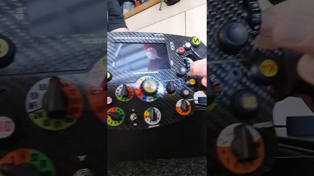 thrustmaster  sf1000 wheel