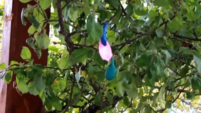 ДР Саши Конотопа! Видео есть благодаря Андрюшке! смотреть онлайн