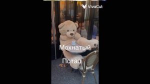 Идеи как назвать плюшевого мишку