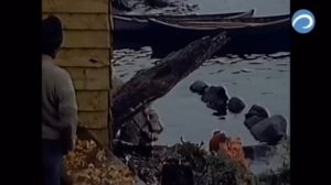 Подводная одиссея команды Кусто - 2 часть