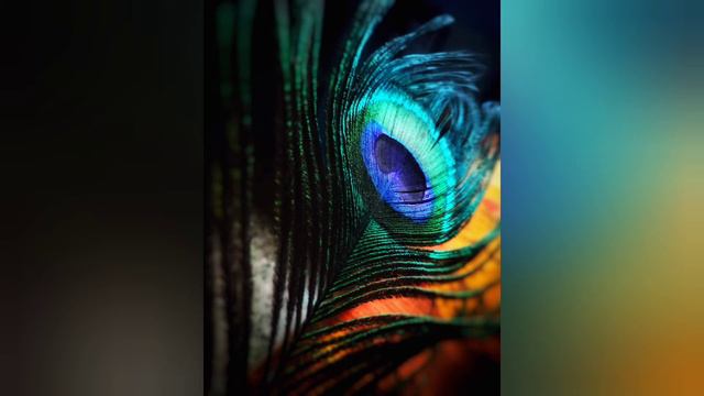 soothing flute music, Indian music, meditate with flute, calm and get relax, relaxing flute music смотреть онлайн