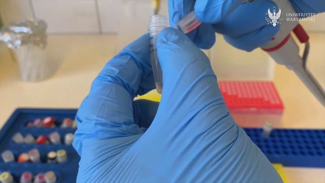 Metody stosowane w biologii molekularnej (dr Takao Ishikawa) смотреть онлайн