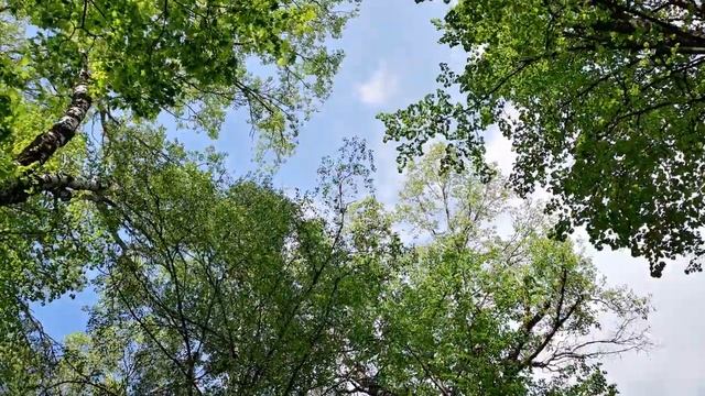 Уголок России... Родовое имение И.Тургенева Спасское-Лутовиново смотреть онлайн