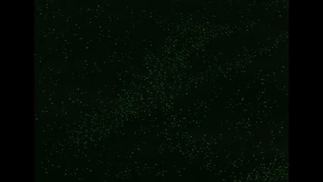 Успокаивающий шум светлячков!  2 ЧАСА!