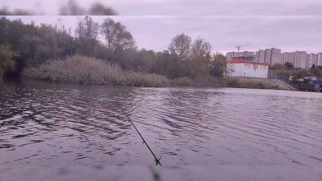 Отводной поводок - Монтаж и тест