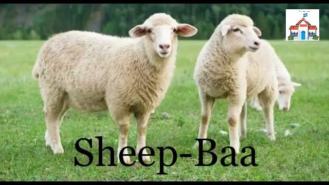 Animals Sounds Names| Animal Names and Sounds for kids | Animal Sounds | Learn Animals Names  Sound