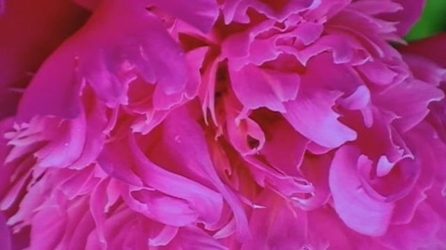 06 150 Herbst Walzer (Musik Siegfried Zabransky) смотреть онлайн