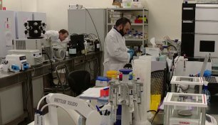 В Сириусе строят уникальный лабораторный комплекс для генетических исследований