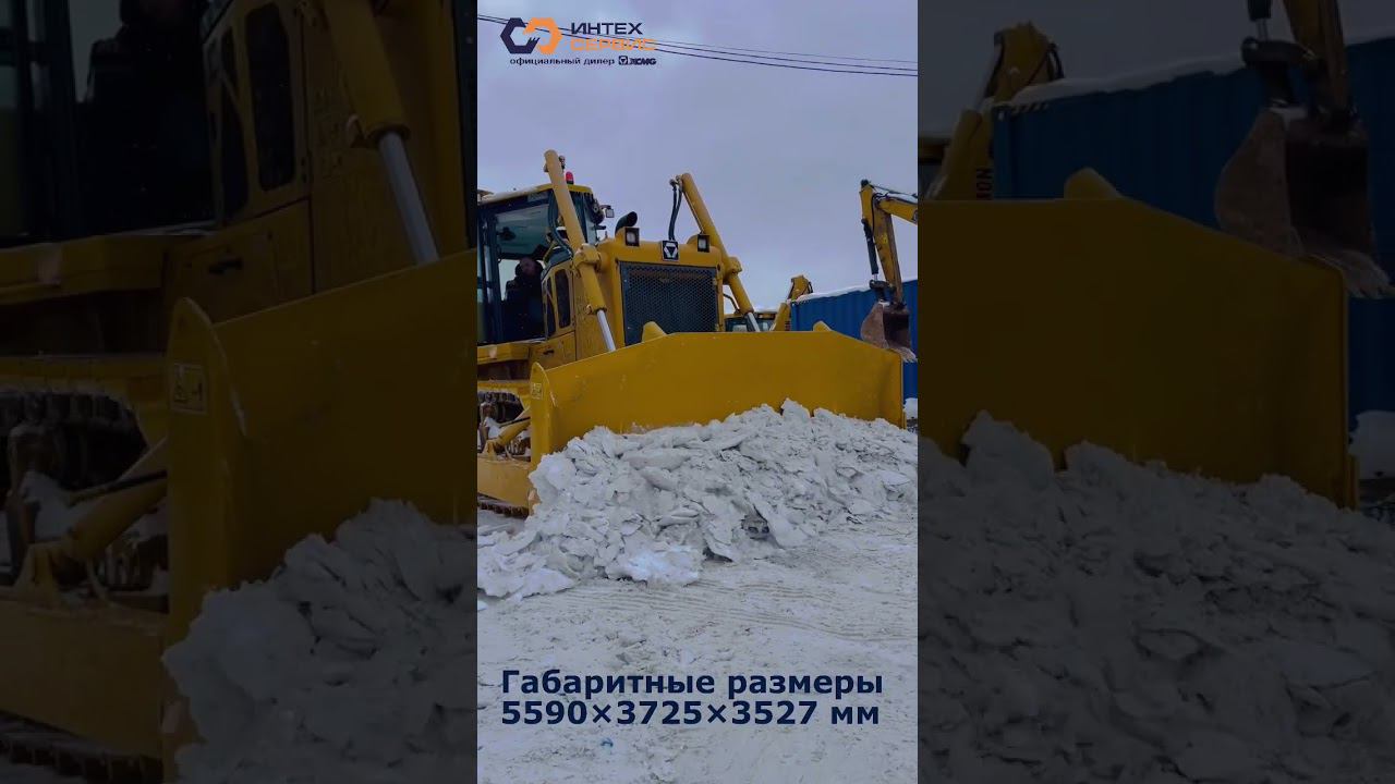 Мощный и сочный!#путьуверенногоразвития #разрывшаблонов2024