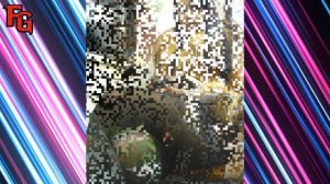 Порция девушек в общественных местах