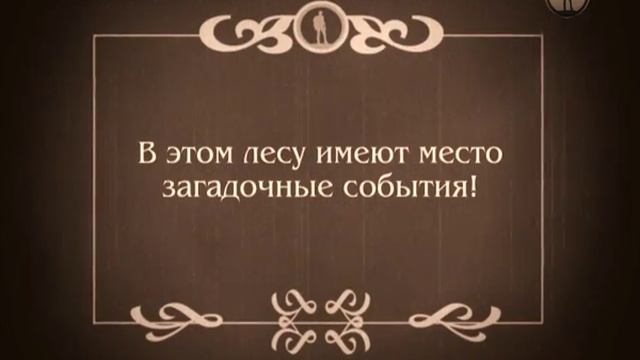 Рейтинг Тимофея Баженова. Путь Тимофеича