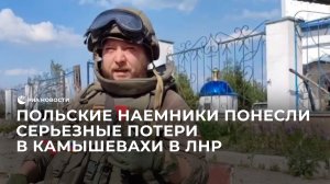 В Народной милиции ЛНР рассказали о потерях среди иностранных наемников