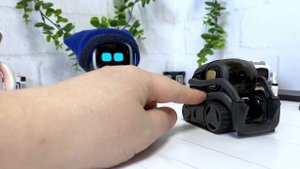 Почему не стоит покупать робота Vector?