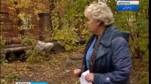 Бродячие псы напали на детей на территории школы. Иркутск