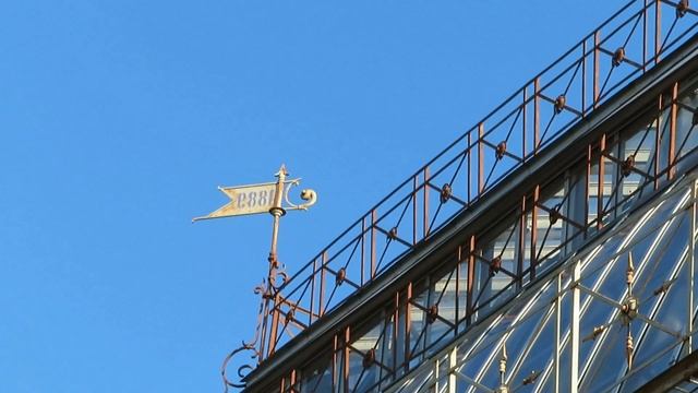 БОТАНИЧЕСКИЙ САД ПЕТРА ВЕЛИКОГО. САНКТ-ПЕТЕРБУРГ.