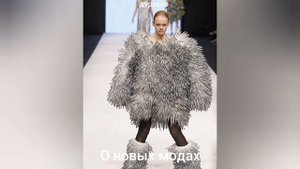 Себастьян Брант- "Корабль дураков" (отрывки)