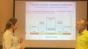 Нормы и сроки посева озимой пшеницы