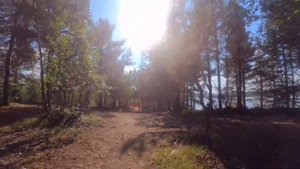 наш август в Мурманской области. Кица, Ура-Губа, Ковдозеро.