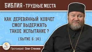 Как деревянный ковчег смог выдержать такое испытание ? (Бытие 6-14). Протоиерей Олег Стеняев