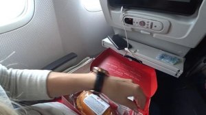 ПЕРЕЛЁТ В НЬЮ-ЙОРК В КАРАНТИН / ЧЕРЕЗ АТЛАНТИЧЕСКИЙ ОКЕАН / США 2021