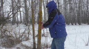 2022-03-31 Веревочный путь