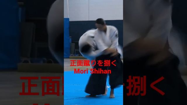 Mori Shihan「正面蹴りvs 合氣道」森師範 [Kick vs Aikido] Aikido Yoshinkan Brisbane Dojo 合氣道養神館豪州道場