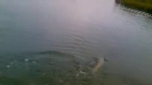 Ярославская рыбалка.Магия первого заброса,оз."Техас"2010г.