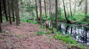 12.07.2023 09:59 [Ищу обходную тропу до озера Марьино]