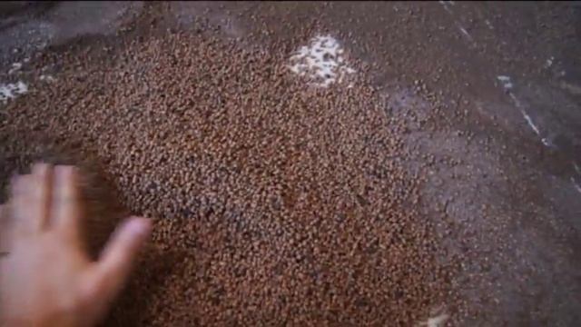 Сухая стяжка, Элементы пола, сухая засыпка Компэвит.