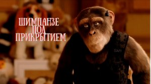 Шимпанзе под прикрытием | Русский трейлер (2022)