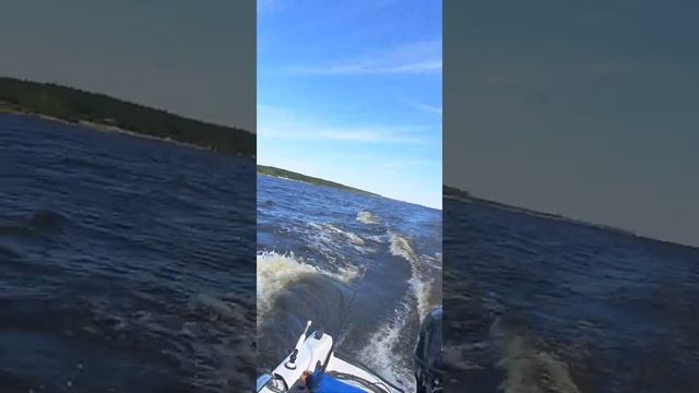 афалина 395 ,Рыбинское водохранилище смотреть онлайн