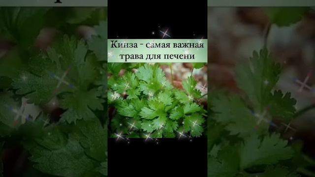 ДВЕ СТОЛОВЫЕ ЛОЖКИ В ДЕНЬ ОЧИЩАЕТ ПЕЧЕНЬ, РСЩЕПЛЯЕТ ЖИРЫ УЛУЧШАЕТ ПИЩЕВОРЕНИЕ СНИМАЕТ ВЗДУТИЕ ЖИВОТ