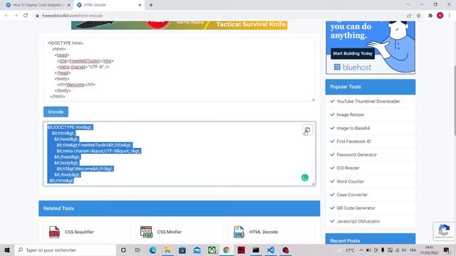 How To Display Code Snippets in HTML with Color?