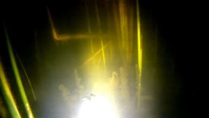 Подводная охота на Огромную щуку в камышах!Повезло на подводной охоте!Подводная охота  в Башкирии!