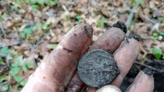 Ищем клад с Алтыном. смотреть онлайн