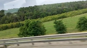 ??Едем к морю, в Лазаревское?