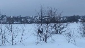 Снегоход Буран, испытание по мокрому снегу