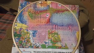 Опыт вышивания с помощью редактора и изнанка Девочки.