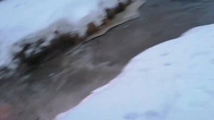 СТЕЛС ГЕПАРД 1000 кубов  ЛИТРОВЫЙ мотор