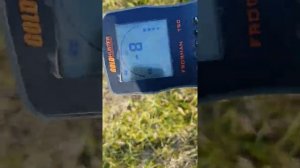 Gold Hunter T90 Frogman видит везде чермет