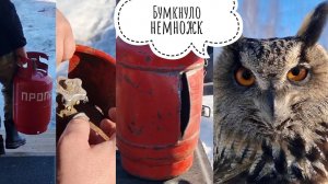 Про взрыв баллона с газом в машине и невозмутимость совы