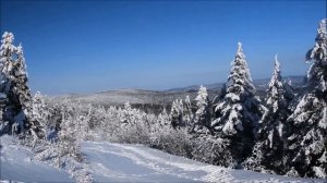 Забеременела от любовника, но муж не знает, боюсь рассказать ему