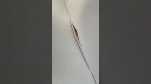 Ремонт порезанного натяжного потолка